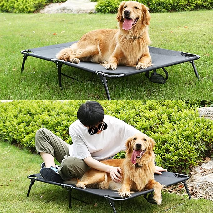 Elevated Raised Small Meduim Dog Bed Cots,Cooling Foldable No Assembly Need Pet Hammock Bed with Breathable Mesh, Indoor Outdoor Dog Pet Bed for Small Meduim Dogs, Chew Proof, Black-PawvioPets