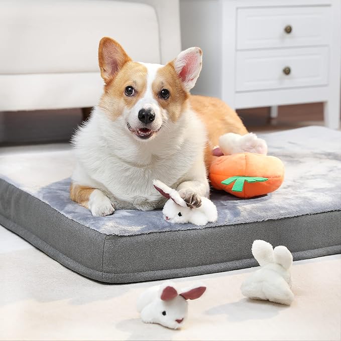 Amazon Basics Interactive Hide and Seek Squeaky Dog Plush Toy, Rabbit and Carrot, Orange and White, 5-Pack-PawvioPets