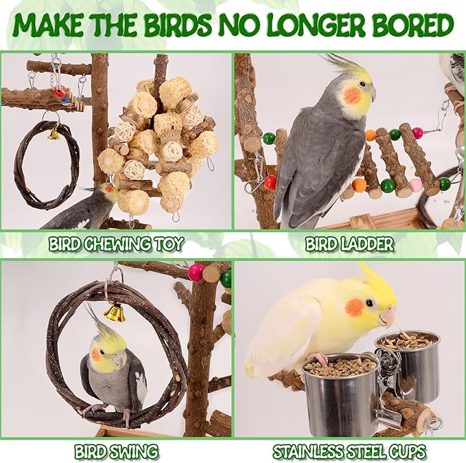 Bird Playground - Natural Wood Bird Perch Stand with Removable Tray and 2 Stainless Steel Cups-PawvioPets