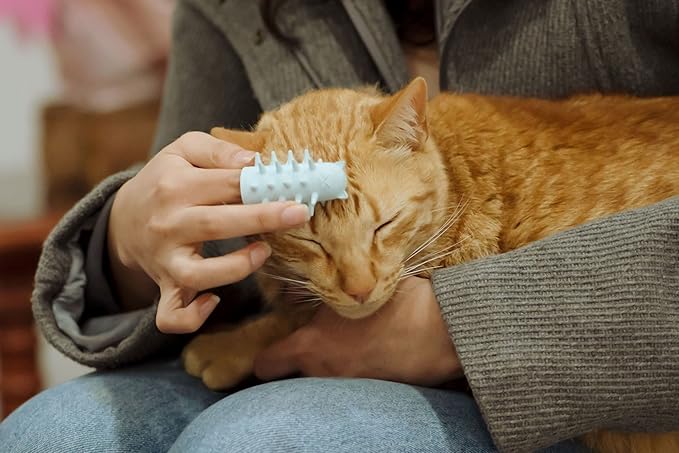 Furr&Purr Cat Brush, Scratcher, and Massager - Indoor Cat Calming Care with Face Scratcher, Finger Brush (3-Pack, Made in USA)-PawvioPets