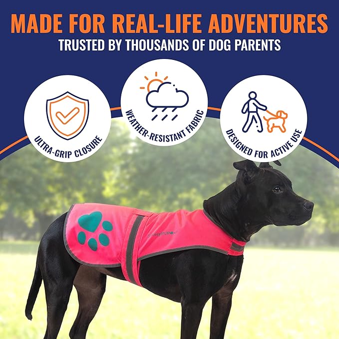 Dog Reflective Vest – Hi-Vis Fluorescent Visibility That Helps to Safeguard Your Pet On/Off Leash in Urban & Rural Areas (Pink, Small)-PawvioPets