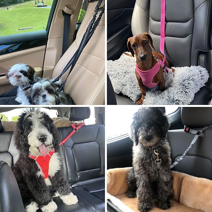 BWOGUE Pet Dog Cat Seat Belts, Car Headrest Restraint Adjustable Safety Leads Vehicle Seatbelt Harness (1 Pack)-PawvioPets