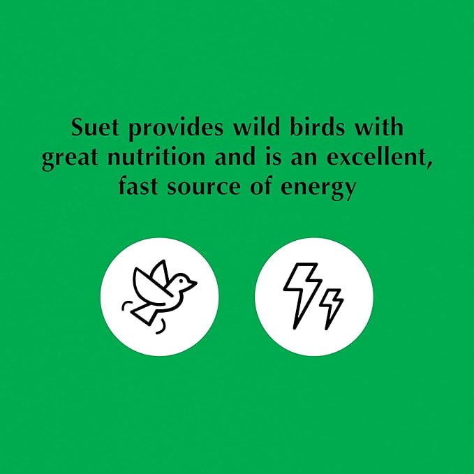 C&S Sunflower Suet Nuggets, Suet Nuggets for Wild Birds, 8 Lbs-PawvioPets