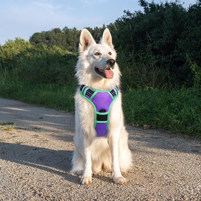 Eagloo Dog Harness for Large Dogs, No Pull Service Vest with Reflective Strips and Control Handle, Adjustable and Comfortable for Walking, No Choke Pet Harness with 2 Metal Rings, Purple & Green, XL-PawvioPets
