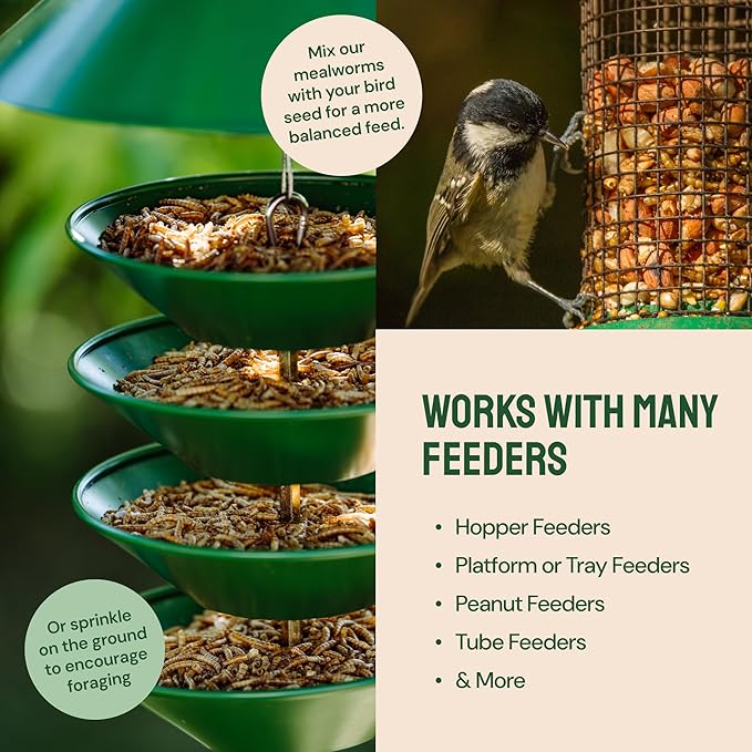 Dried Mealworms - 2 Lb Bag - High Protein Chicken Feed, Mealworms for Birds & Chickens - Meal Worms for Wild Birds & Turtles-PawvioPets