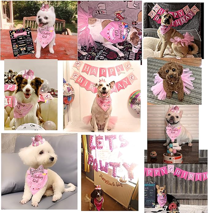 Dog Birthday Party Supplies, Pink Dog Birthday Decorations, Lets Pawty Balloons Banner Hat Bandana Tutu Skirt Outfit for Small Medium Dogs-PawvioPets