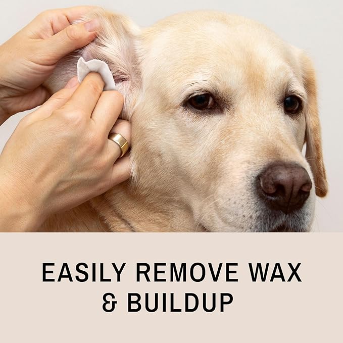 Eye Envy Fresh Ear Cleaning Wipes for Dogs. Made in The USA from Natural Ingredients. Unscented. Prevents Infections. Safe and Non-Irritating. Removes Dirt, Debris, and Wax buildup. 60 Count.-PawvioPets