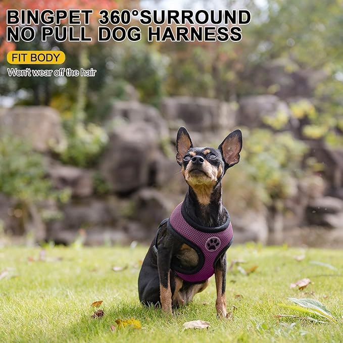 BINGPET Small Dog Harness - Breathable Mesh Puppy Cat Harnesses - No Pull Adjustable Dog Harness Dog Vest Harness for Small and Medium Dogs-PawvioPets