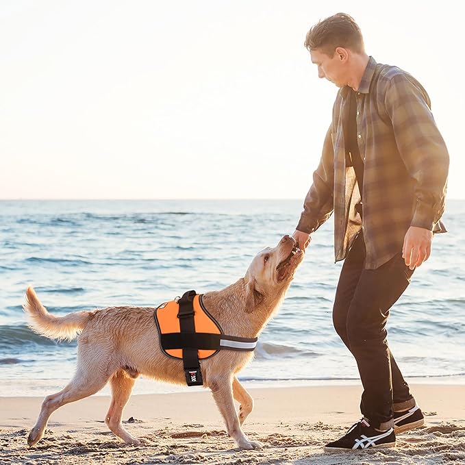 Dogline Dog Harness, Reflective No-Pull Adjustable Vest with Handle for Walking, Training, Breathable, No - Choke Harness for Small, Medium or Large Dogs Room for Patches Girth 15 to 18 in Orange-PawvioPets