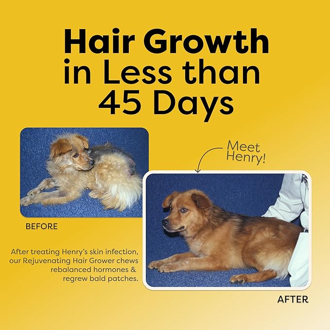 Doc Itchy Rejuvenating Hair-Grower Dog Pet Chews | 10mg Melatonin for Dogs | Hair Growth Booster | Senior Dog Energizer | Calming | Medical-Strength | Food Allergy Safe | Vegan | 90 Count-PawvioPets