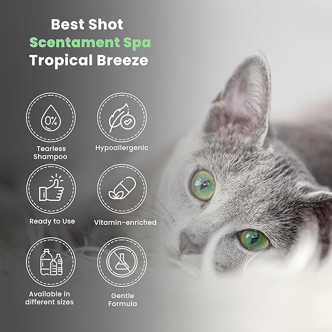 Best Shot Scentament Spa Seasonal Body and Facial Wash, Tearless Shampoo, Hypoallergenic Body Wash, Removes Tear Stains, Tropical Breeze, 16 Oz.-PawvioPets