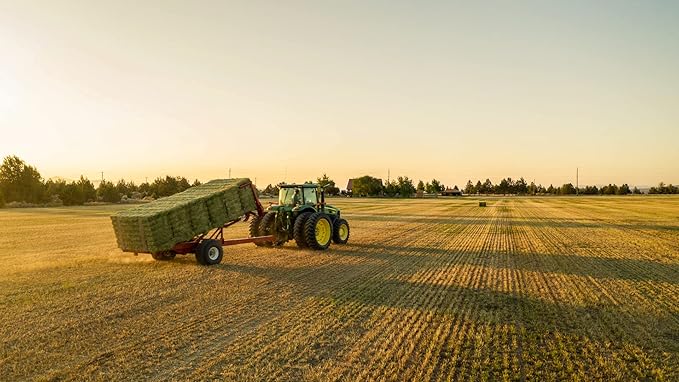 Blue Mountain Hay High-Altitude Hay - Organic Alfalfa, 5lb - High Protein, Fiber & Mineral-Rich - Soft, Leafy, High Leaf Retention - Ideal for Goats, Rabbits, Guinea Pigs & Other Small Animals-PawvioPets