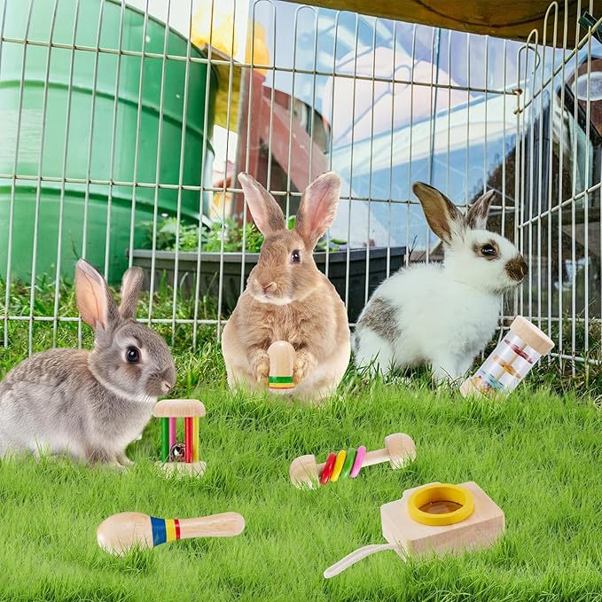 6 Pcs Wooden Bunny Toys - Safe Rabbit & Guinea Pigs Teeth Grinding Toys for Chinchillas, Hamsters & Small Animals - Indoor & Outdoor-PawvioPets