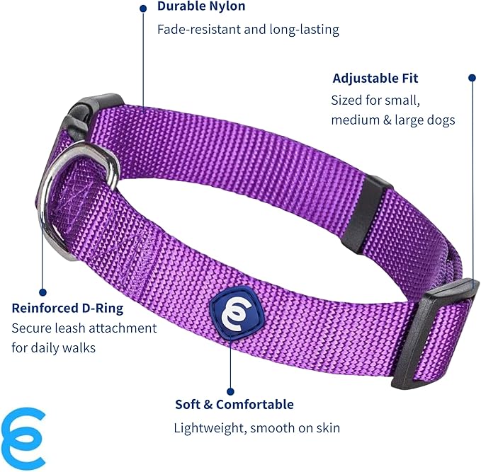 Blueberry Pet Essentials X-Small Dog Collar in Dark Orchid | Adjustable & Eco-Friendly Durable Nylon Strap | Classic Collar for X-Small Dogs, Boy & Girl Pets-PawvioPets