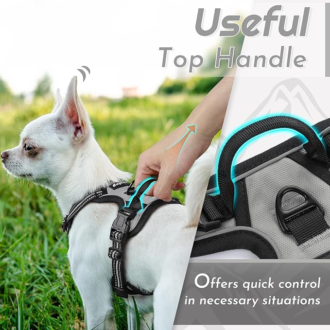 Eagloo Small Dog Harness No Pull, Service Vest with Reflective Strips and Control Handle, Adjustable and Comfortable for Walking, No Choke Pet Harness with 2 Metal Rings, Grey, XS-PawvioPets