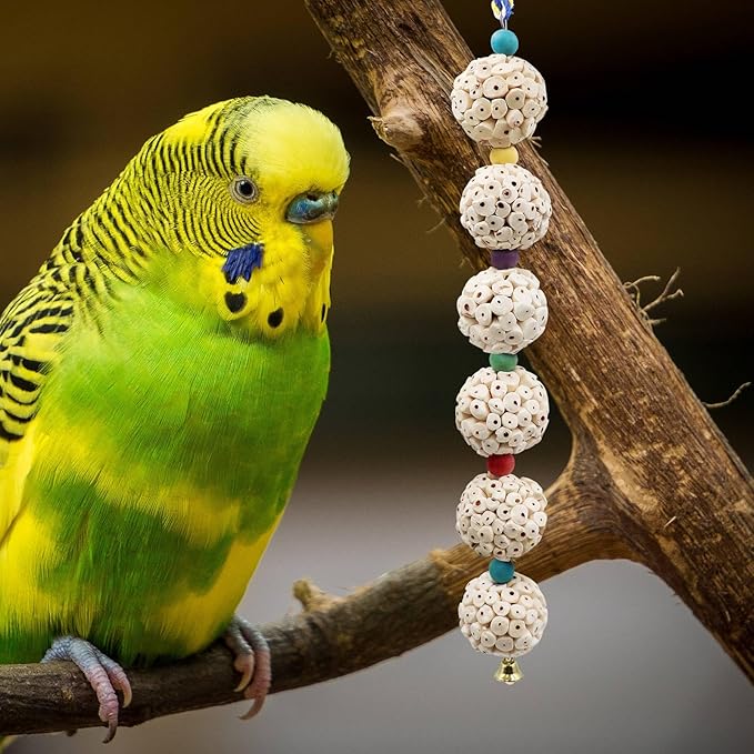 Bird Chewing Toy, Bird Sola Ball Toy with Bell, Bird Cage Accessories, Cage Toys for Cockatiel Parakeet Parrot Budgies Rat Hamster Chinchilla Rabbit Bunny African Grey-PawvioPets