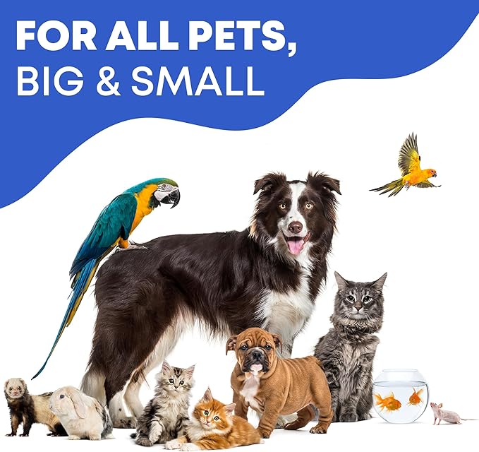 Ear Cleaner Drops & Wash Solution for Cats and Dogs – Gentle Ear Hygiene, Wax Removal & Odor Control for Pets-PawvioPets