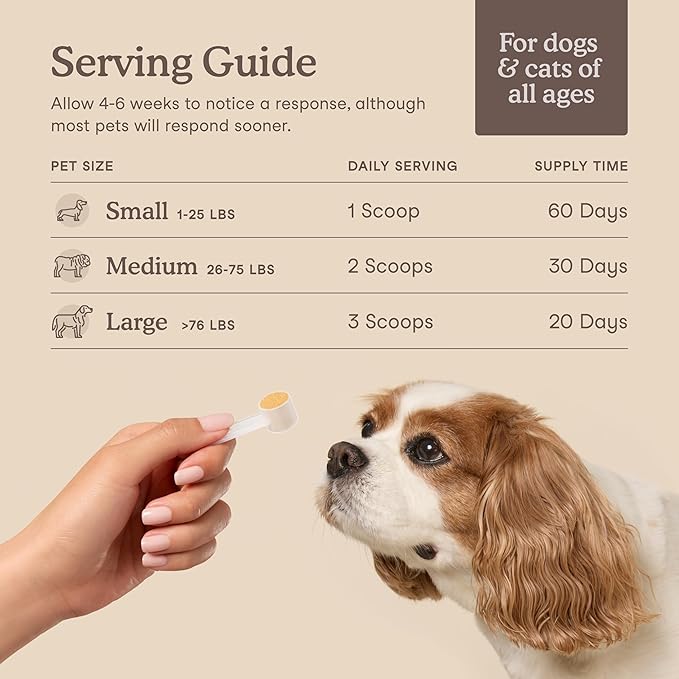 Fera Pets Liver Supplement for Dogs & Cats with Milk Thistle, Choline & Turmeric - Organic Botanicals - Enhances Liver Function, Immunity, Detoxification, & Metabolic Function - Powder - 60 Scoops-PawvioPets