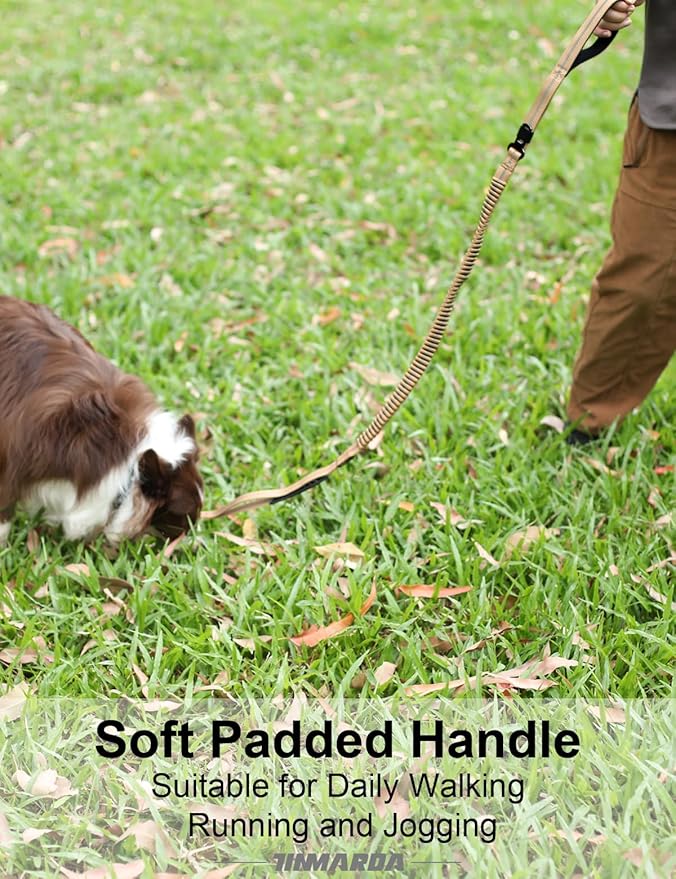 Dog Leashes for Medium Large Dogs Heavy Duty, 4-6FT Shock Absorbing No Pull Dog Leash with Advanced Easy Metal Clip, 2 Comfortable Padded Handles (Coyote Brown)-PawvioPets