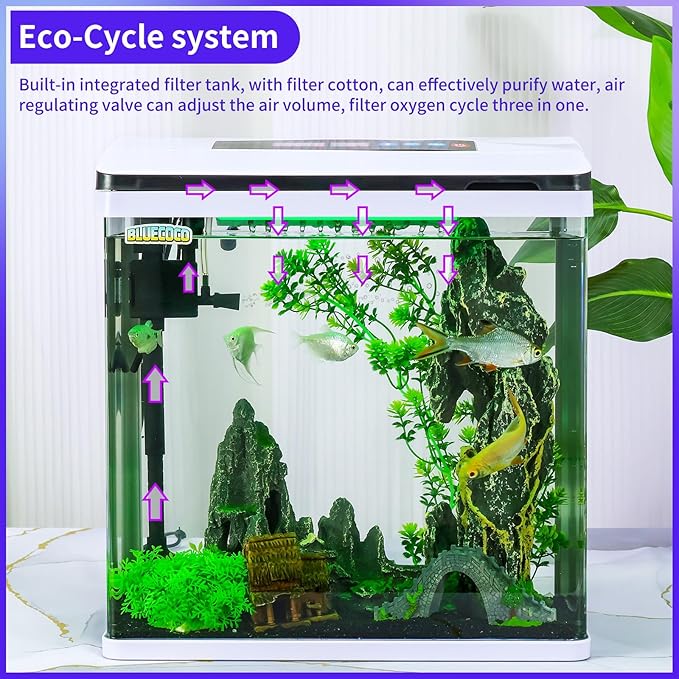 8 Gallon Fish Tank Starter Kit: Glass Aquarium w/Eco-Cycle Filter, 7-Color LED & Air Pump for Betta. Features 360° Crystal View, Temp/Time Display & Quiet Operation All-in-One Aquarium Kit-PawvioPets
