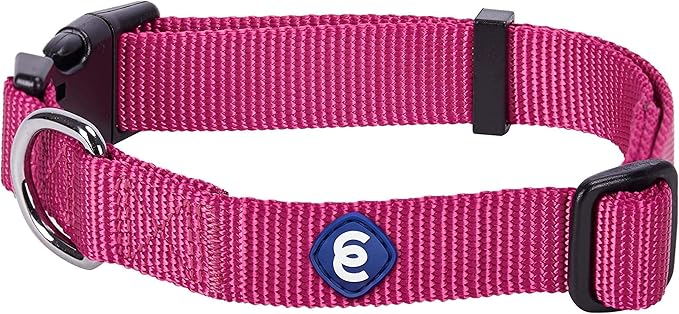 Blueberry Pet Essentials Small Dog Collar in Very Berry | Adjustable & Eco-Friendly Durable Nylon Strap | Classic Collar for Small Dogs, Boy & Girl Pets-PawvioPets