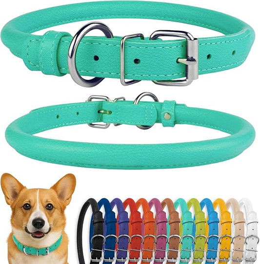 CollarDirect Rolled Leather Dog Collar, Soft Padded Round Puppy Collar, Handmade Genuine Leather Collar Dog Small Large Cat Collars 13 Colors (11-14 Inch, Mint Green Textured)-PawvioPets