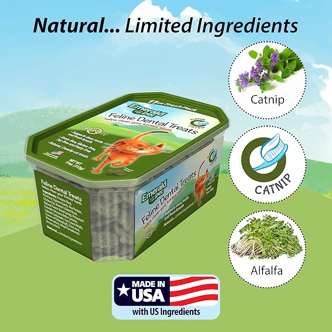 Feline Dental Treats — Tasty and Crunchy Cat Dental Treats Grain Free — Natural Dental Treats to Clean Cat Teeth, Freshen Cat Breath, and Reduce Plaque and Tartar Buildup — Catnip Treats, 11 oz-PawvioPets