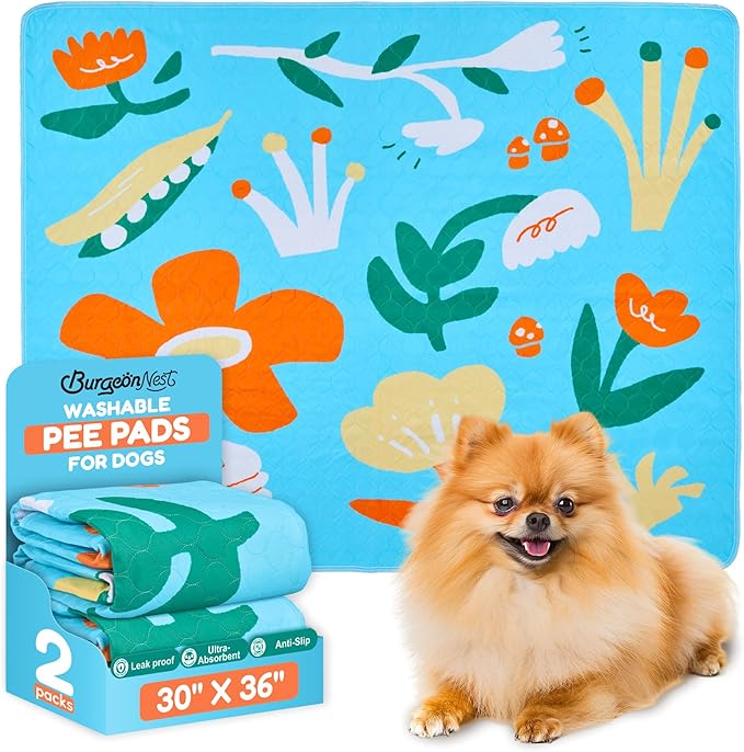 BurgeonNest Washable Pee Pads for Dogs, 2 Pack 30''x36'' Super Absorbent, Leakproof & Non-Slip Reusable Potty Pads for Dogs, Puppy, Playpen, Crate, Whelping Box, Potty Training, Blue-PawvioPets
