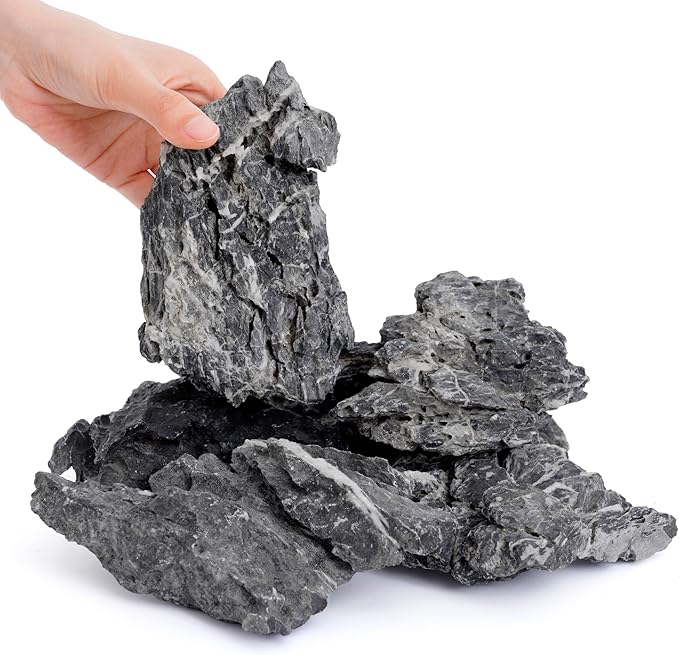 6-8 Inches Natural Seiryu Stone 6 PCS Aquarium Rocks for Aquascaping, Aquarium Landscaping, Terrariums, Fish Tank Decoration, Vivariums, Paludarium, Reptile and Amphibian Enclosures-PawvioPets