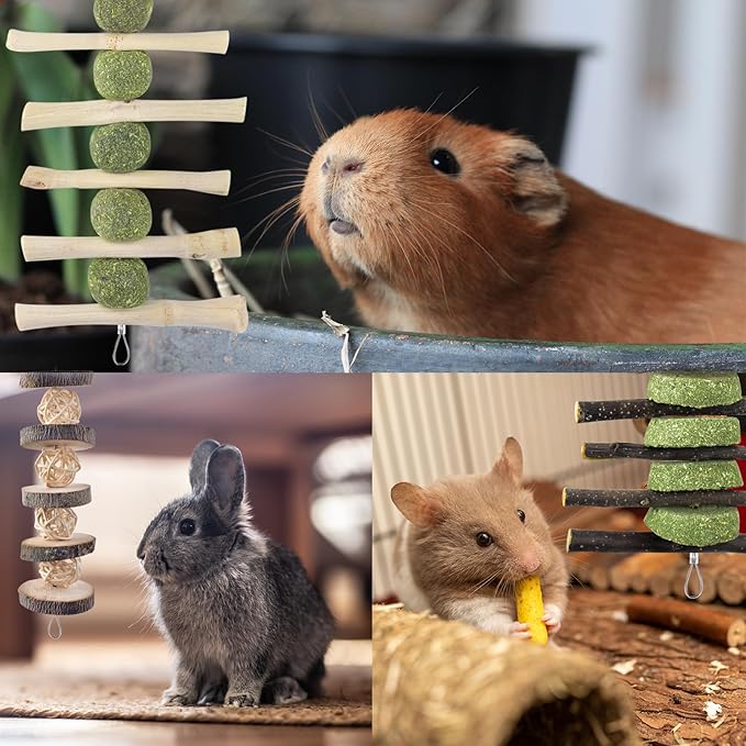 ERKOON Bunny Chew Toys, Rabbit Chew Toys for Teeth Grinding, Improve Dental Health, 100% Natural Apple Wood Timothy Grass Cake Treats for Rabbits Guinea Pigs Chinchillas Bunnies Hamsters (5 Pcs)-PawvioPets