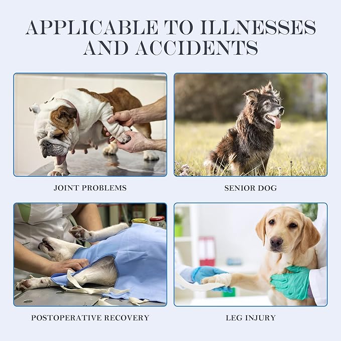 Dog Lift Harness, Full Body Support with Adjustable Control Handle for Large Senior Dogs, Post-Surgery Recovery & Joint Problems (Oxford Cloth, XL)-PawvioPets