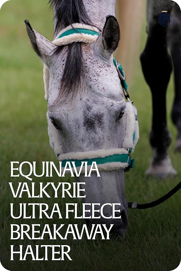 Equinavia Valkyrie Soft Ultra Fleece Padded Adjustable Breakaway Horse Halter - Turquoise/White - Warmblood-PawvioPets