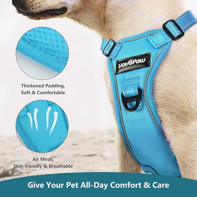 Dog Seat Belt Harness for Car, Dog Car Harness Adjustable Mesh Breathable & Dogs Seatbelt Safety Tether with Elastic Bungee for Small Medium Large Pets(Blue, L)-PawvioPets