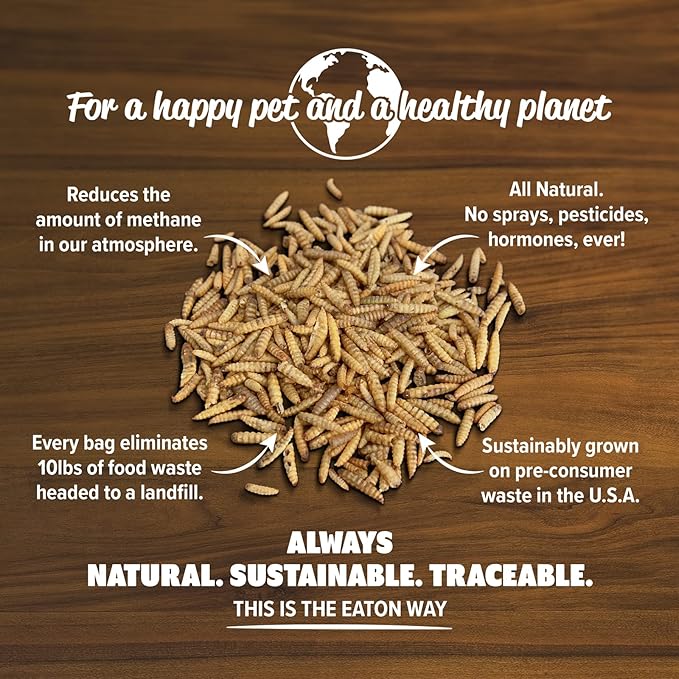 Eaton Pet and Pasture Premium Grubs, USA Grown Dried Black Soldier Fly Larvae, High Calcium Treat for Chickens, Ducks, Wild Birds (5 LB)-PawvioPets