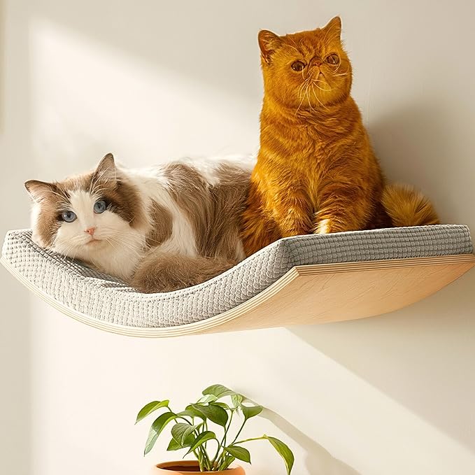Extra Large 23.6”×14.6” CALLICO HAVEN- Stylish Cat Wall Shelves with Curved Design, Modern Wall-Mounted Cat Tree Hammock with Soft Cushion, Sturdy/Hidden Mounts, Washable Cover, Sleek Design -C Shape-PawvioPets