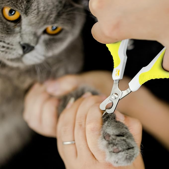 Mr. Pen- Cat Nail Clipper, Lime Green, Cat Nail Trimmer, Cat Nail Clippers, Cat Claw Clippers, Cat Clippers for Nails, Pet Nail Clippers, Kitten Nail Clipper, Small Dog Nail Clipper Cat Claw Trimmer-PawvioPets