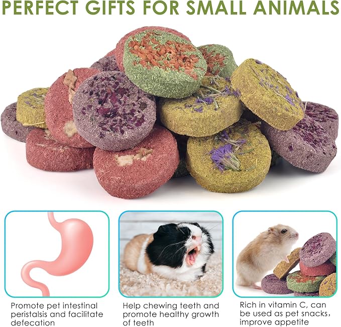 ERKOON 24Pcs Bunny Chew Toys, Small Animal Molar Toys Timothy Grass Beet Sweet Potato Pumpkin Cake Treats for Guinea Pig Hamster Bunny Chinchilla Gerbil, 100% Natural Rabbit Chews and Treats-PawvioPets