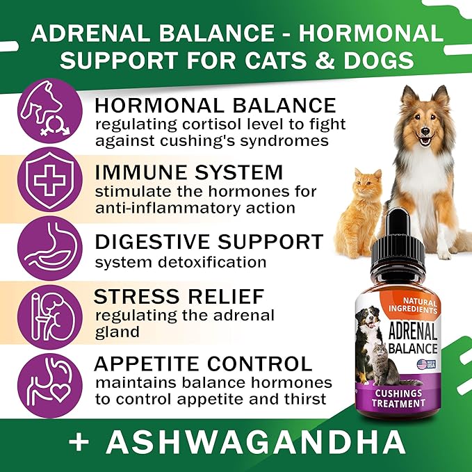 Adrenal Balance for Dogs and Cats - Cushings Treatment for Pets, Adrenal Support w/ Ashwagandha, Licorice Root, Rhodiola Rosea - 2oz Herbal Drops-PawvioPets