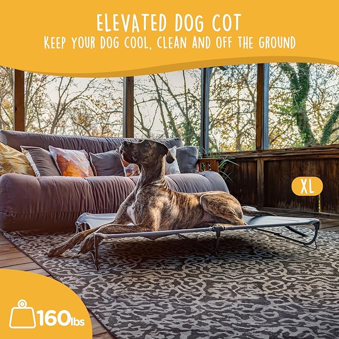 Daisy Cot, XL Foldable Elevated Dog Bed, Portable Raised Outdoor Folding Dog Cots, Cooling, Chew Proof, Waterproof, Heavy Duty Up to 160 lbs for Camping/Home, Grey, 49"x 33"x7"-PawvioPets