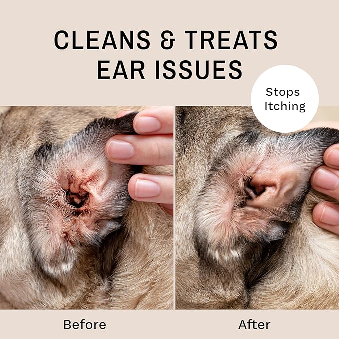 Eye Envy Fresh Ear Cleaning Wipes for Dogs. Made in The USA from Natural Ingredients. Unscented. Prevents Infections. Safe and Non-Irritating. Removes Dirt, Debris, and Wax buildup. 60 Count.-PawvioPets