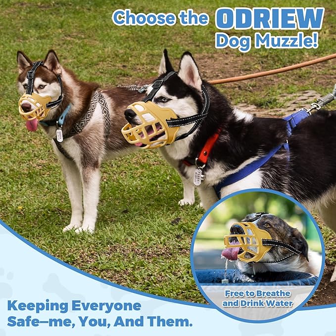 Dog Muzzle for Large Dogs, Breathable Basket Muzzles for Small, Medium and X-Large Aggressive Dog, Allows Panting Drinking, Suitable for Grooming Trimming Training (4, Luminous Orange)-PawvioPets