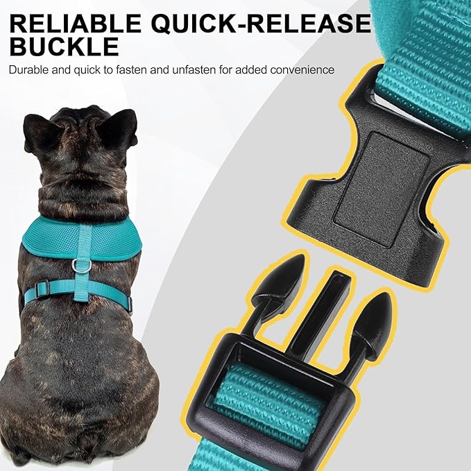 BINGPET Small Dog Harness - Breathable Mesh Puppy Cat Harnesses - No Pull Adjustable Dog Harness Dog Vest Harness for Small and Medium Dogs-PawvioPets