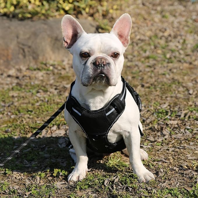 Amazon Basics No Pull Dog Harness, Adjustable Front Clip, Tactical Vest, Small, Black-PawvioPets