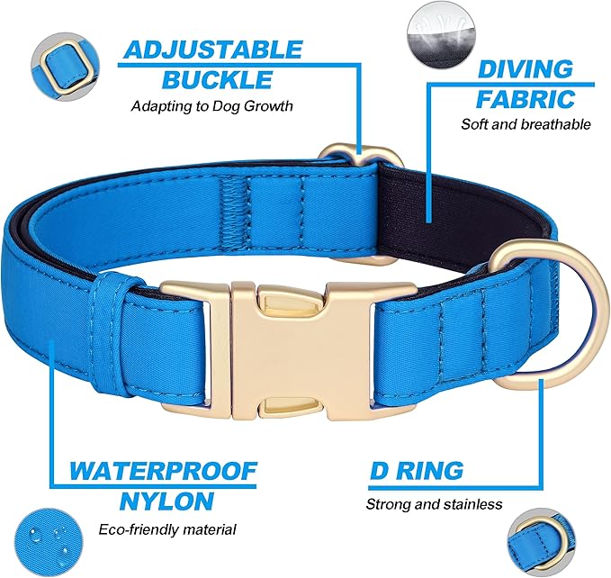 Didog Soft Padded Dog Collar for Large Dogs, Colorful and Durable Pet Collar with Quick Release Buckle, Light and Breathable for Daily Walking, Blue, L-PawvioPets