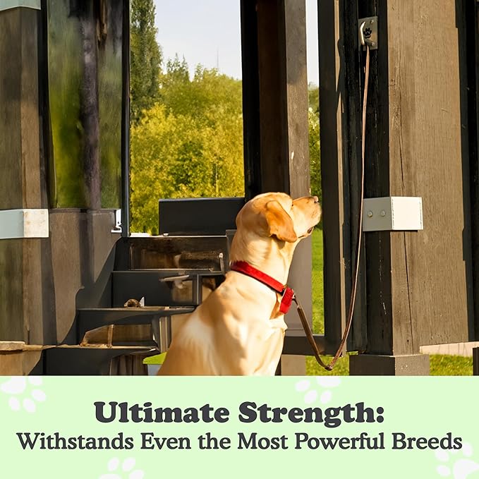 Canine Hitch- Secure Dog Leash Parking Mounted Indoor – Outdoor Wall Hook - Tie Out Stainless Steel Practical Lead Management for Home & Business, Ultimate Strength 6 Packs-PawvioPets