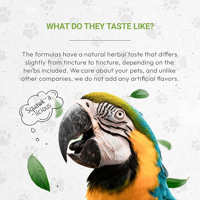 Birds Feathers | Natural Herbal Dietary Pet Supplement for Birds | Support Healthy Feathers | Alcohol-Free Extract, Dandelion Root, Calendula, Alfalfa, Peppermint, Fennel 2 oz-PawvioPets