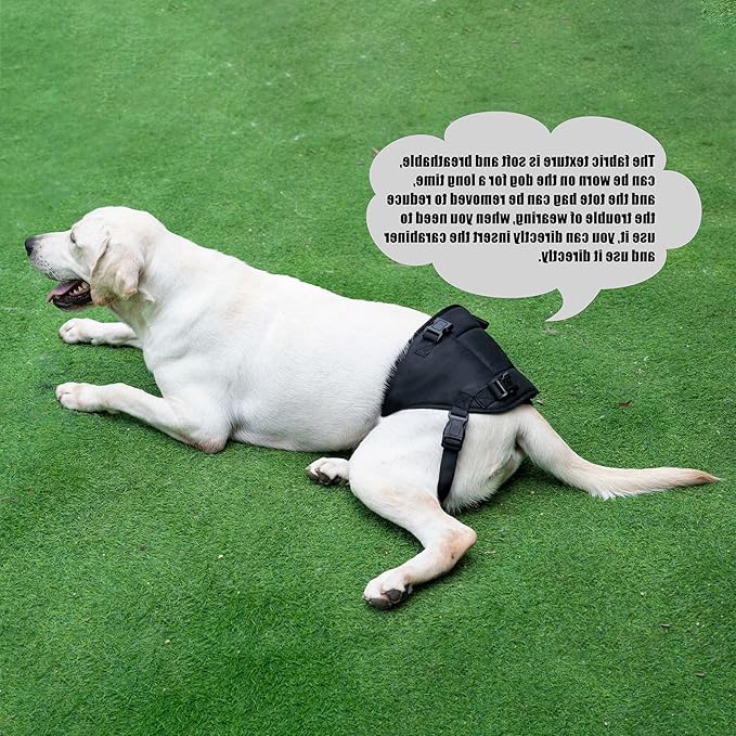 Dog Lift Harness for Dogs with Disabled Arthritis and Weak Back Legs, humanized Design with Comfortable Materials, Adjustable Back Legs and Straps, Suitable for Helping Dogs to Recover and Walk. (M)-PawvioPets