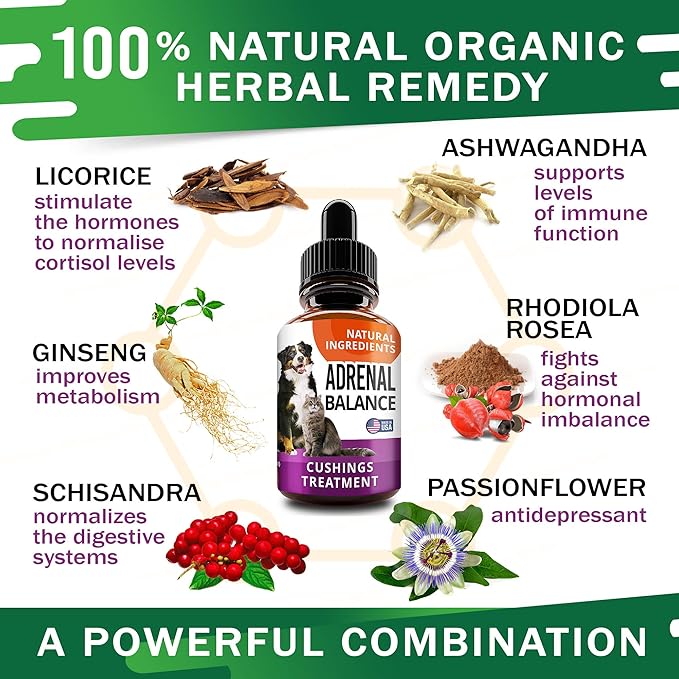 Adrenal Balance for Dogs and Cats - Cushings Treatment for Pets, Adrenal Support w/ Ashwagandha, Licorice Root, Rhodiola Rosea - 2oz Herbal Drops-PawvioPets