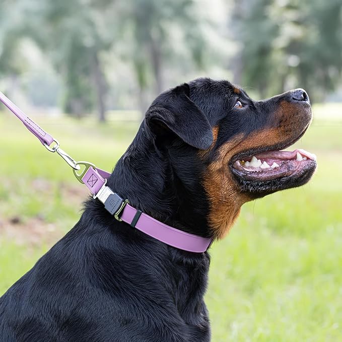 Dogline Biothane Waterproof Dog Collar with Herm Sprenger Black Stainless Steel Quick Release Buckle – Heavy Duty Tactical Durable Collar for Dogs – Comfortable, Safe Pet Collar W 1" L 15-25" Amethyst-PawvioPets