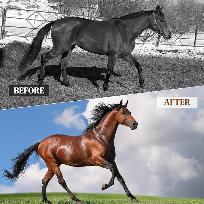 Probiotics for Horses Dietary Supplement, All-Natural Digestive System Maintenance Formula Equine Digestion Support Horse Health Supplements (90 Days)-PawvioPets